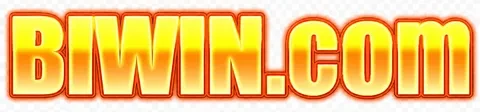 biwin — logo kanal